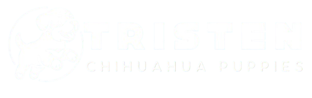 tristenchihuahuapuppies